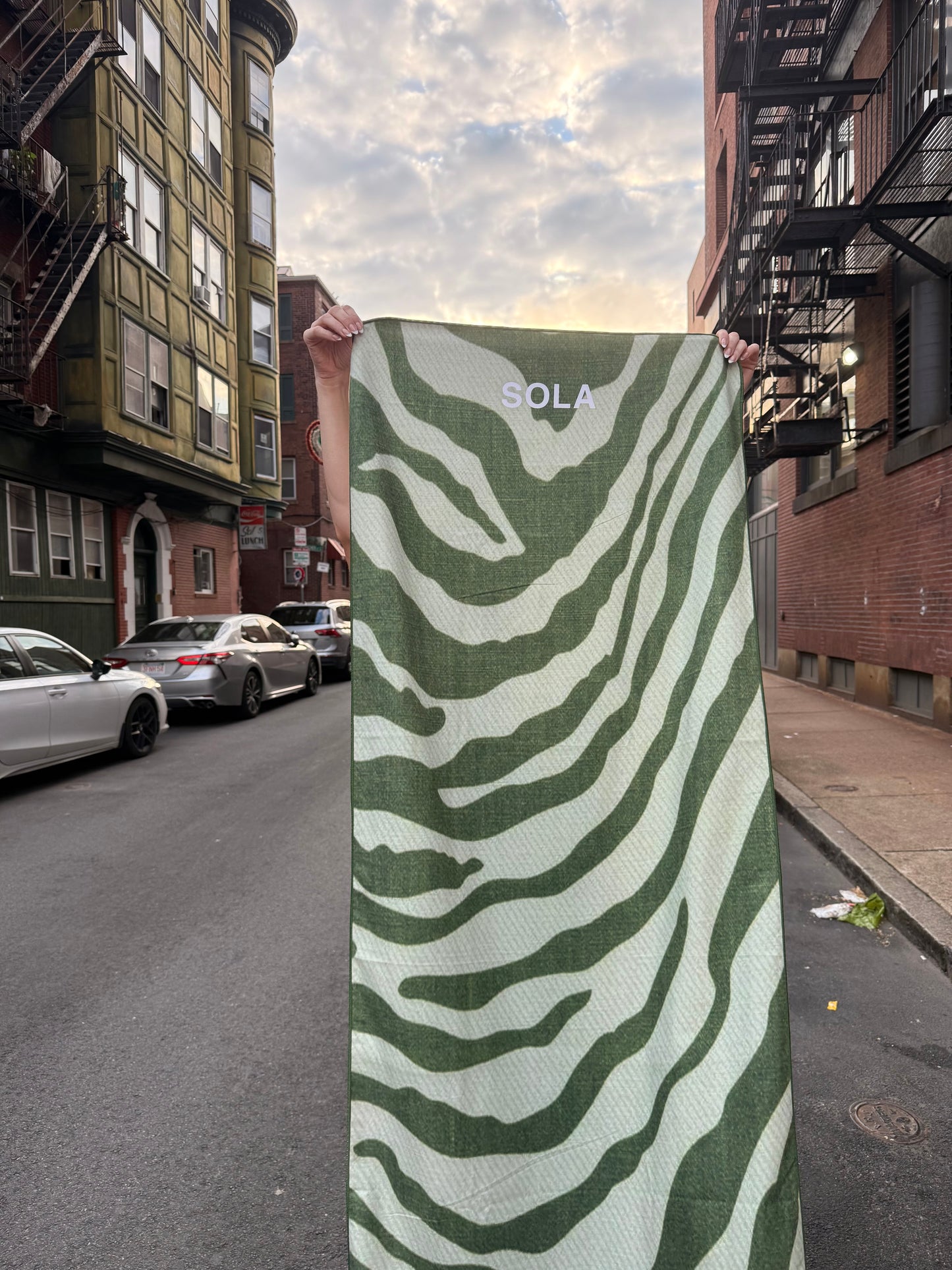 ZEBRA – MATCHA | TEXTURED EDITION