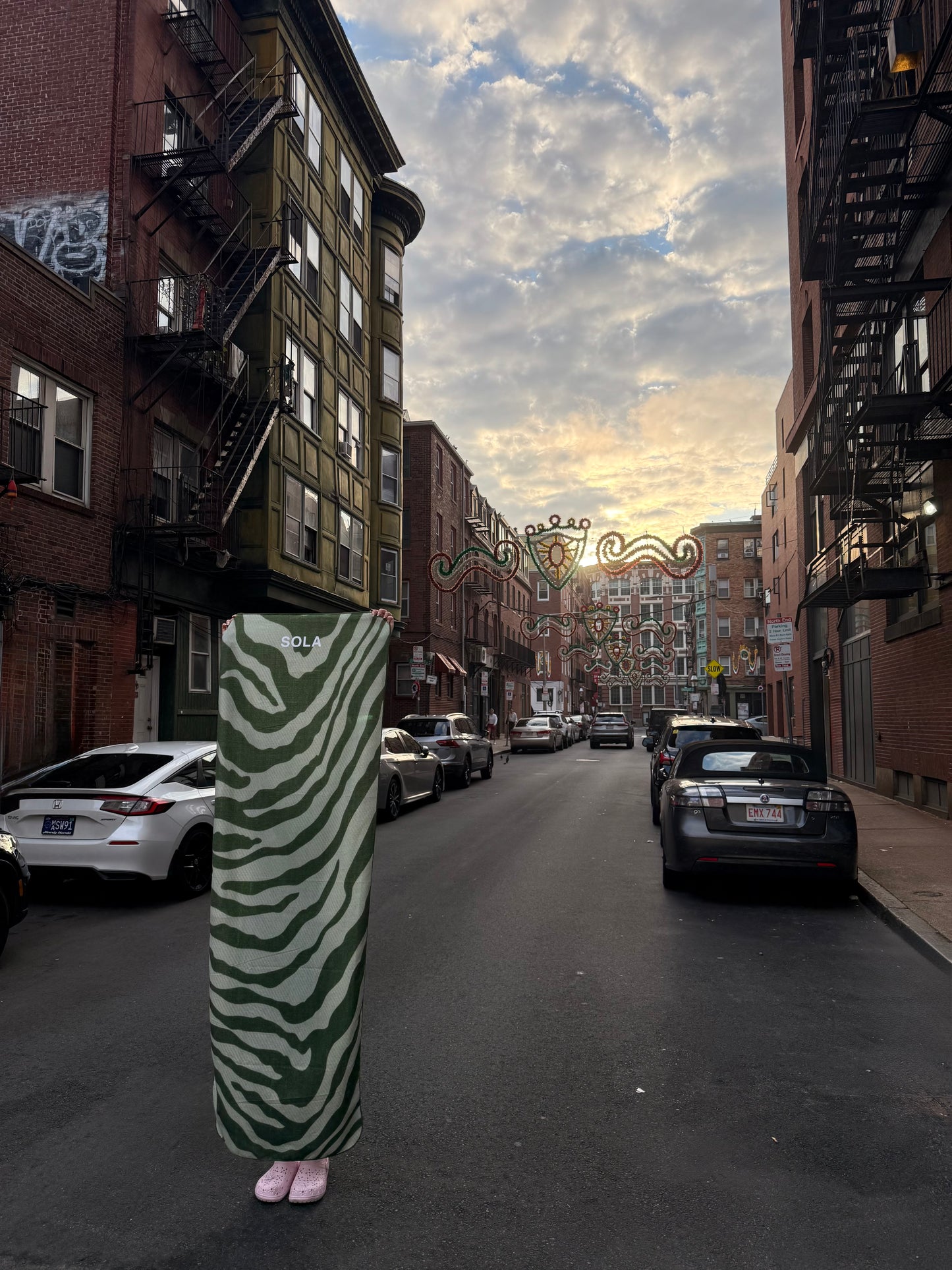 ZEBRA – MATCHA | TEXTURED EDITION